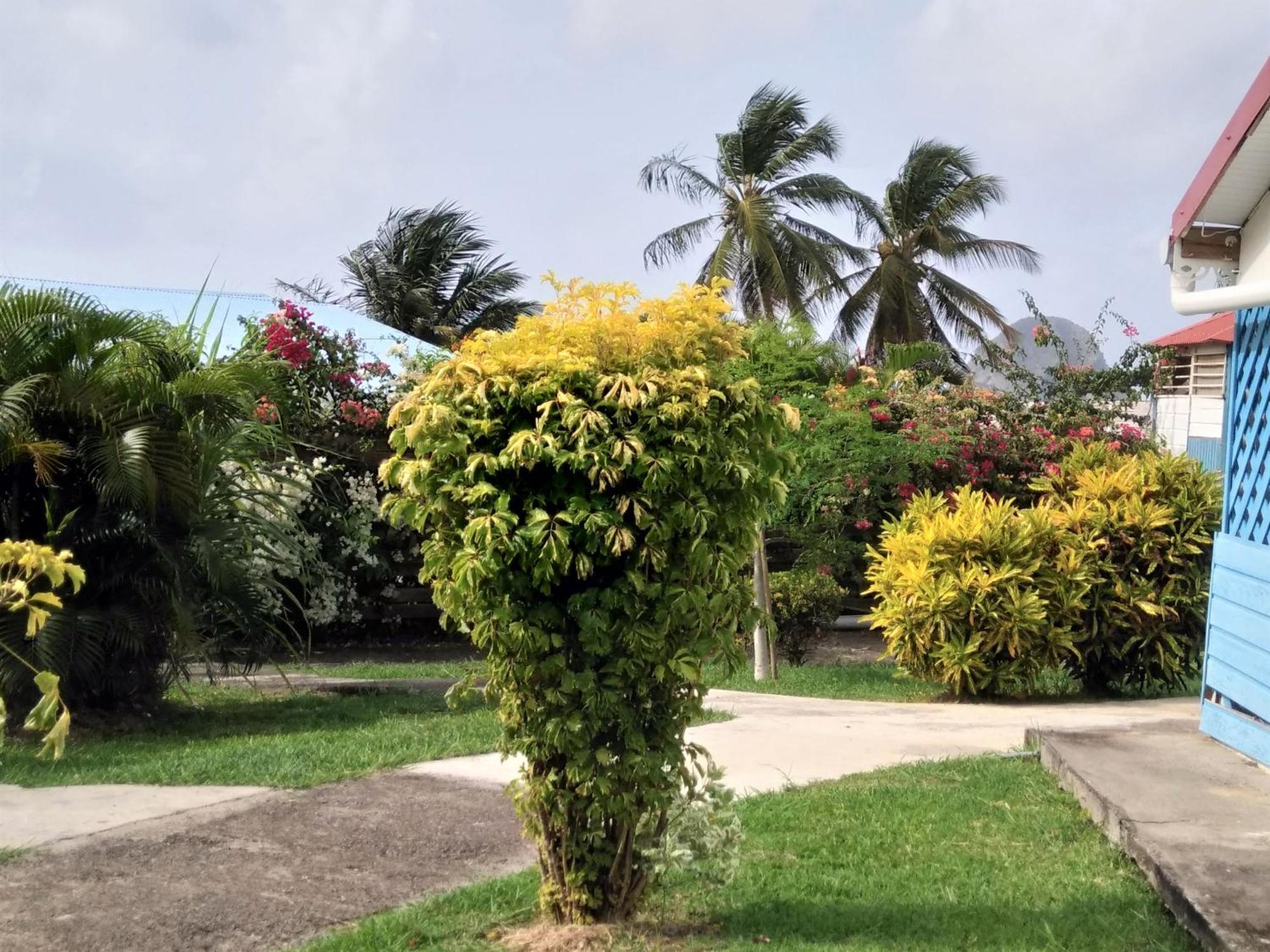 Appartement Rosbambou Les Pieds Dans L Eau Le Diamant Exterior foto